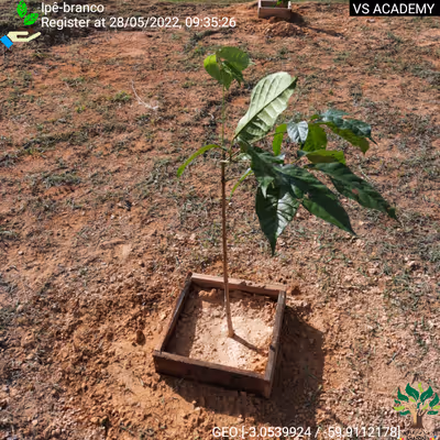 Item #8500196597889277390194123329501889087166328879864934763448348780835360473089 Media