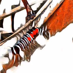 81269833061274051173789884418282317830923519221172308843662164507659352408065