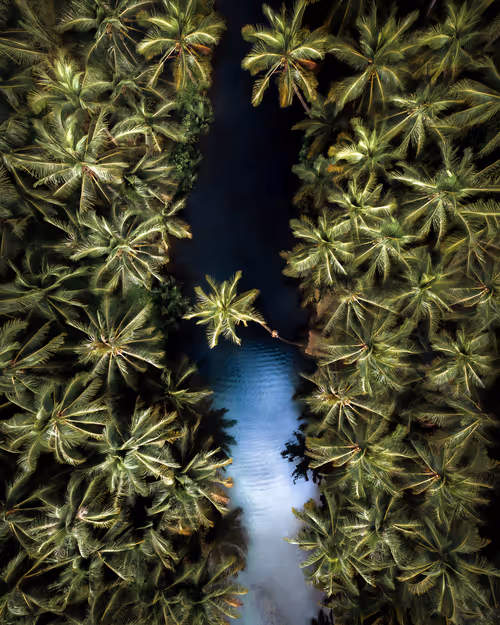 Item #114166721210055605781368580265511700861033361648236924870023126203002913816577 Media