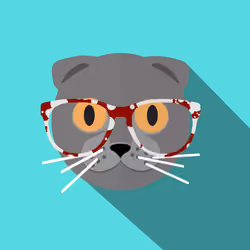 the geek scottish fold #32