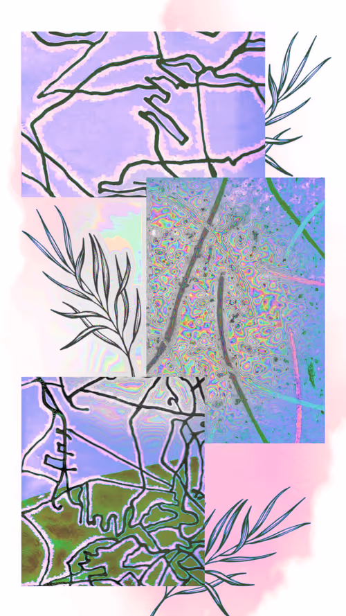 Item #71473770008679921151090467737099838330396588898661574909868543813805768966145 Media