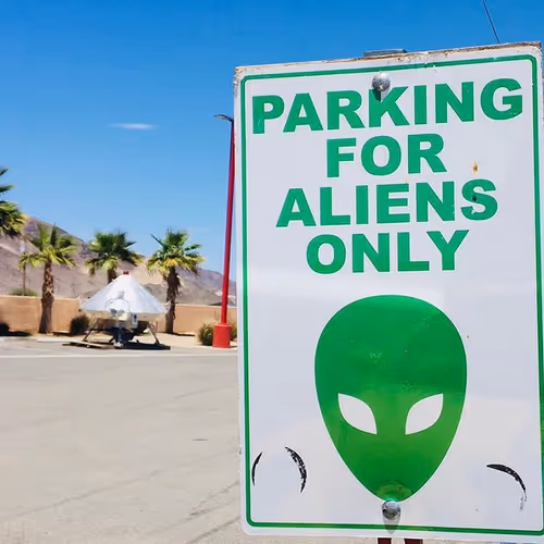 therealgator619 Collection