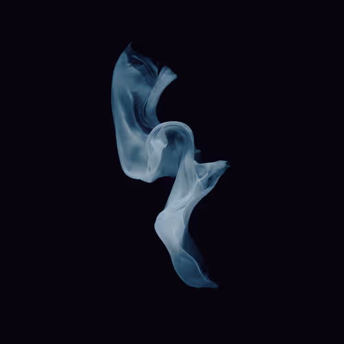 Water Immersion I