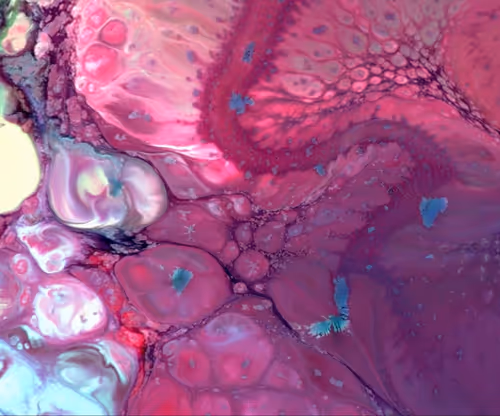 Item #24074810528421772514233601070827590066402087809941770395158208904352678019073 Media