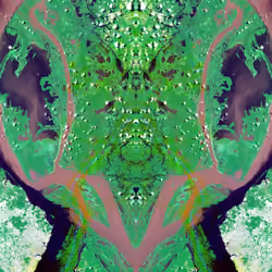 Mike Vensel / Untitled / Volume 1 / Series 7 / Number 2