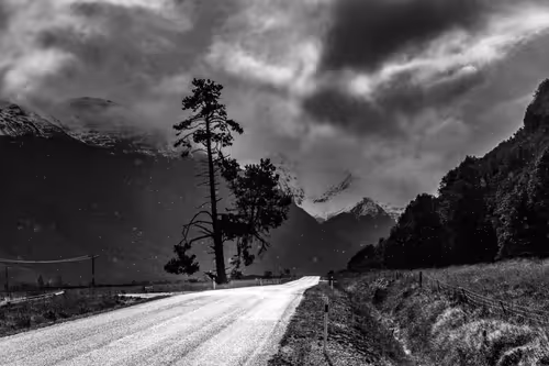 Item #58947618830561656540346244481434689864008869237453581335095038773188267868161 Media