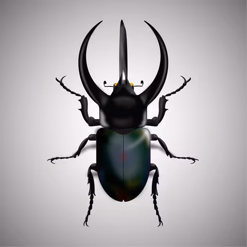 Item #15006194083360452165747859706250248338064014496976576965207408232813410910209 Media