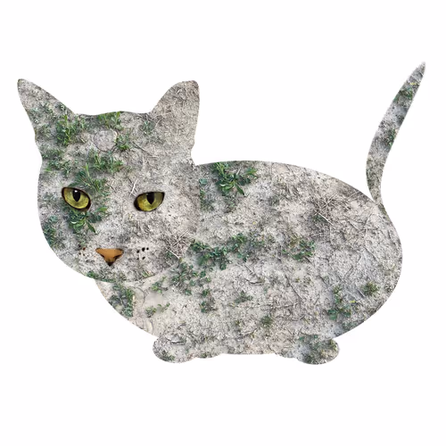 Item #7075100801842414929541159204983769780243264764604993181312715080708871159809 Media