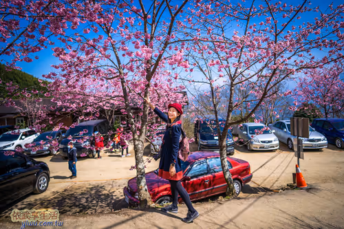 Item #100744422725674417057824683306763013505668843176654858816283483941728117850113 Media