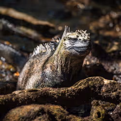 95133208909009756049449667206279702741709602474386148619312528402564933222401