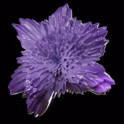 Star Flower