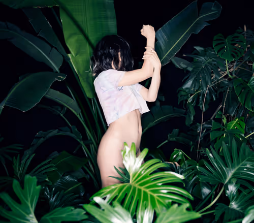 Item #29225512278462627521798648337765154625875213490195303772458487973552853090305 Media