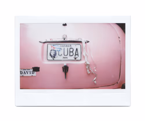 Item #95628935579047862294888083710267829534789365889549982947545054426249639755777 Media