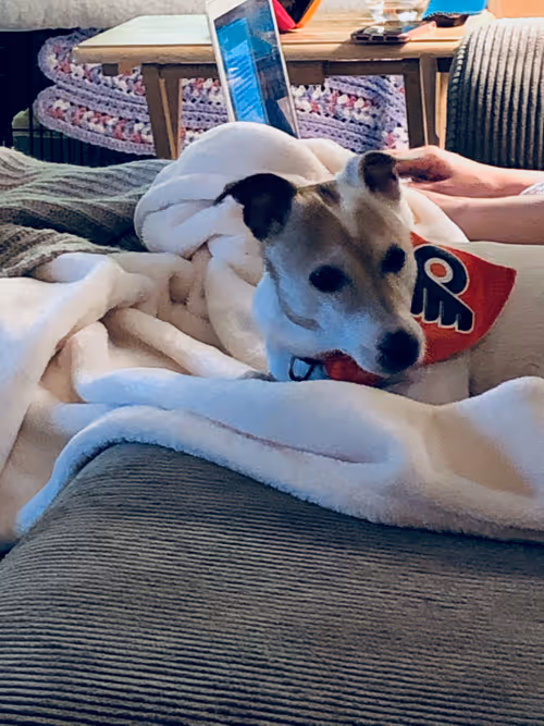 Item #5985210497355107417265215381210579199842884272282595265964883427603121176577 Media