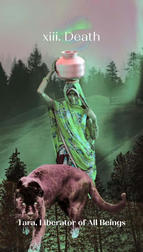 Item #29070158785053791351868948900702743543695730629595466809203615005353025994753 Media