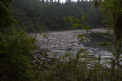 Item #31788909356613404137048829070137069187400346678612286943977180902652916006913 Media