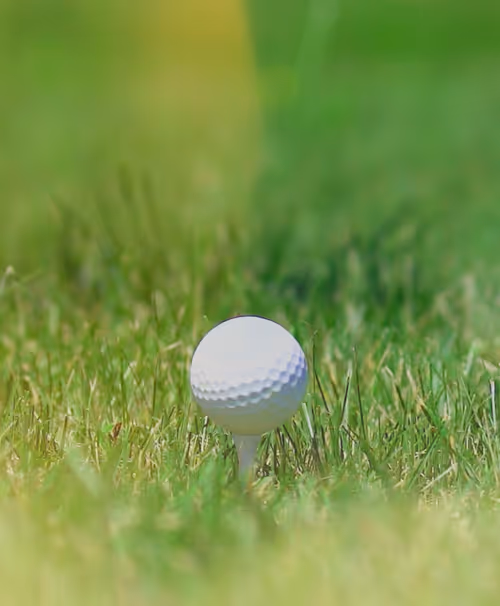 Item #39835803958153195234699586175183160515386172437121324641327801234266903281665 Media