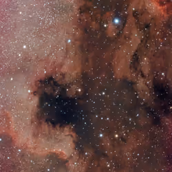 North America Nebula NGC 7000 and Pelican Nebula IC 5070