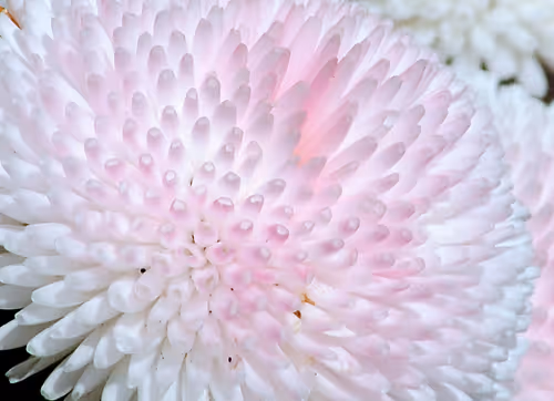 Item #43207901931937523229026562993049456947938366137062832064513938597766993281025 Media