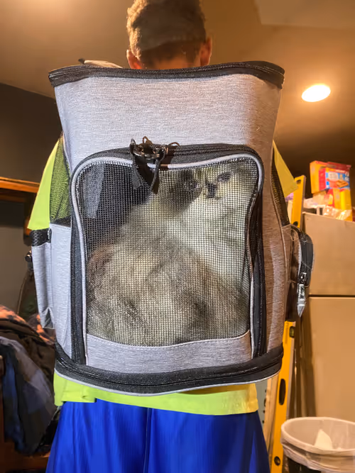 Item #88063557034118437660925886446302507819426649905583175627315428987196676243457 Media