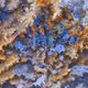 ArtRocks | Laws of Abstraction II