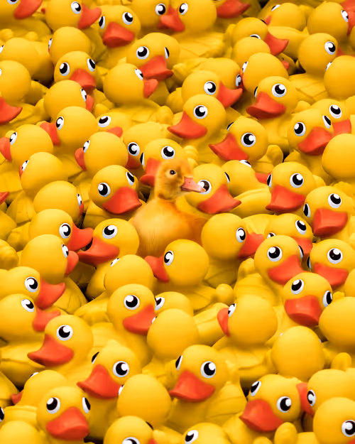 Item #44899826006193838655764715468721601160155167556143089793806025141247333629953 Media