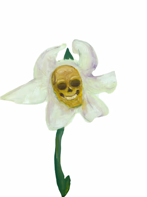 Item #69430838204844007640929930896662390536474801311847444827586886700499690586113 Media