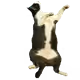 85960029897449293892798536593612207838886945858006362351764480137712321429505