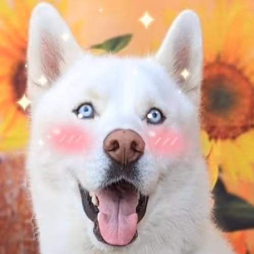 Item #17635803375648012338610213380030160191715370757553255260744606477778973360129 Media