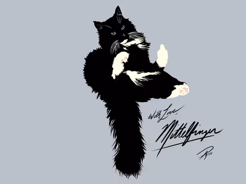 Mittelfinger The Cat