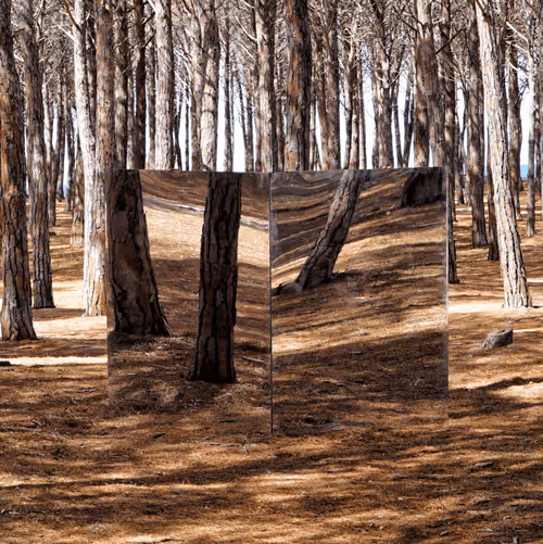 Item #77420488806397133330525240221901748923623733359161899369760968683028932984833 Media