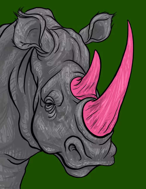 Item #60342236005163987948556802886235213316063293567500632170058184714748969353217 Media