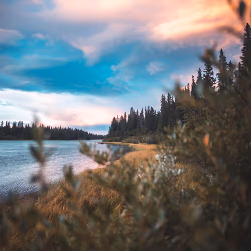 Lost Serenity