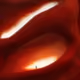 78366509980633589708826493393241254860033787619881410186341736612907047714817