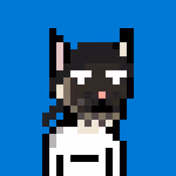 110876392023119830245094778462088291762207716398528215162139852799863030808577