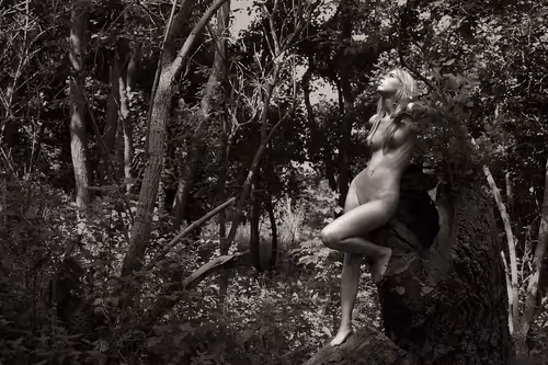 Item #50747893746858818908367272337073903739912207369127684864998521130529293598721 Media