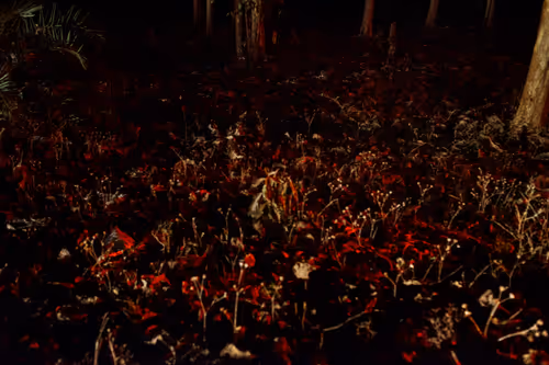 Item #80141737210111839928667523403933295145384279437019335330195524781877711863809 Media