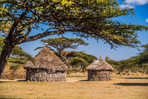 Item #50027882237522295676960542276708360859068113986169674979910834142800213180417 Media