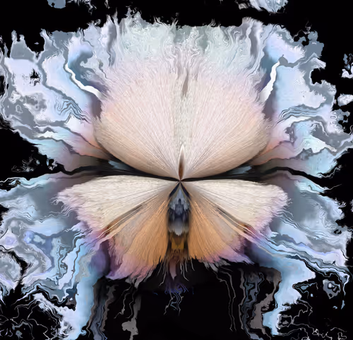 Item #42563441271919704082120100861601504742671505573607663294721934470493943889921 Media