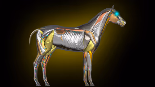 Item #85616260800140778956581373911837214761326127764924071871020287168335744860161 Media