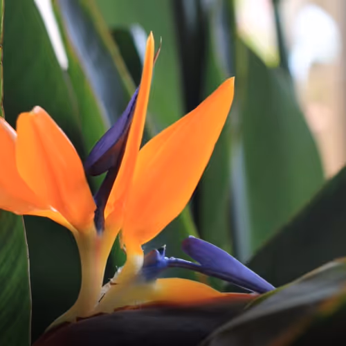 Untitled Collection #204974025