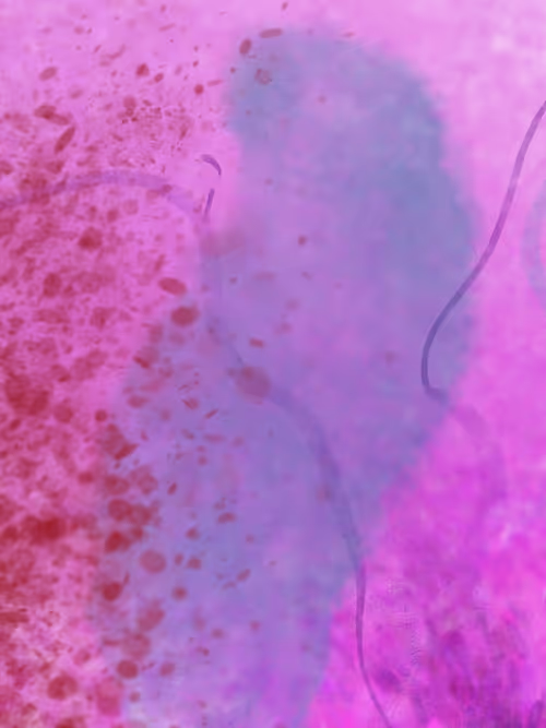 Item #35097085519408794533183264540696956340326860122237526877848050025355706105857 Media