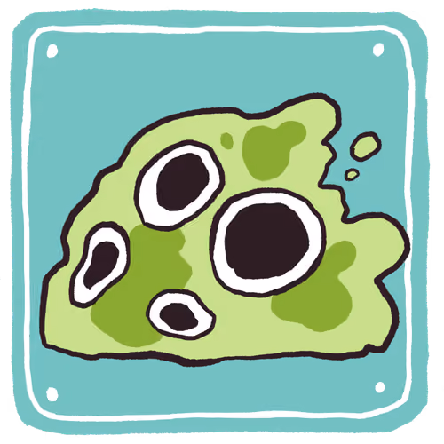 Monster Store #001 Little Slime