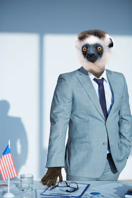 Item #36836811362522670824259516961817306371595381663714079495581083211289696665601 Media