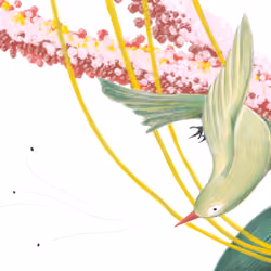 2 | Bird & insects