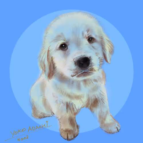 Item #615985665030014359151933937920093135833066652334280591351370830924163842049 Media