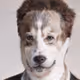 78308153865954386594891820553713475676582051658896609242936939367935386845185