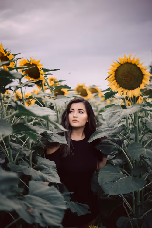 Item #64274873262107114504721973997955312169108596611344264208344202392936407629825 Media