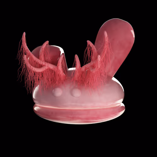 64713880464300709618722621160276461619626599505242200141157346122409474785281