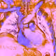 115550551009674290273981077926978292892492397555478431731823682508134138511361